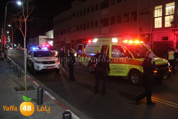 shejar aretreeien (7).JPG